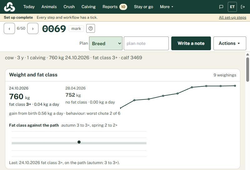 Kari on the computer: cow 0069's page, her weight curve over nine weighings and her condition against the target